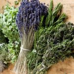 Co jíst ve Francii v Provence 8