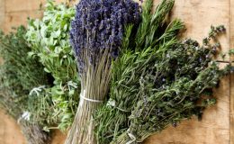 Co jíst ve Francii v Provence 9