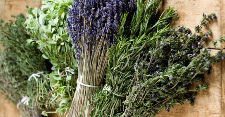 Co jíst ve Francii v Provence 1