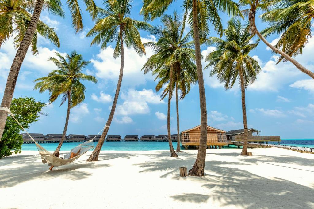 Na Maledivách se otevírá působivý ostrovní resort na solární energii 1