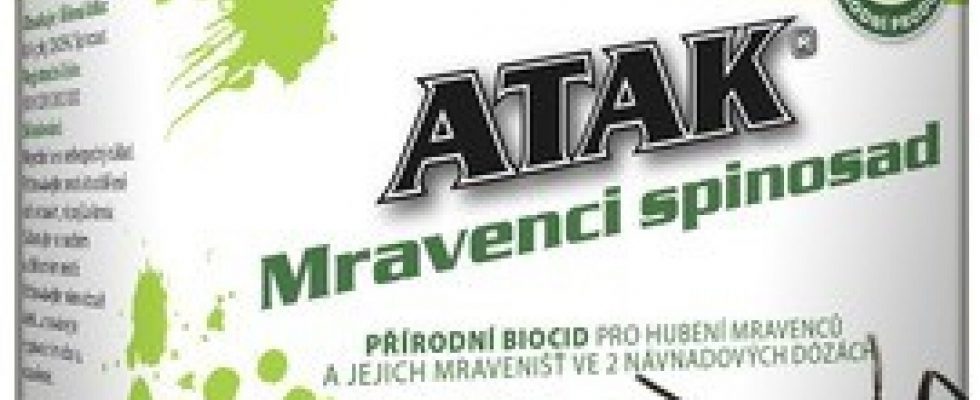7 babských rad a receptů co na mravence v domácnosti 1