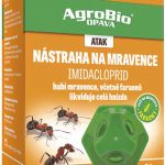 Jak se zbavit mravenců v domě, bytě nebo na zahradě 8
