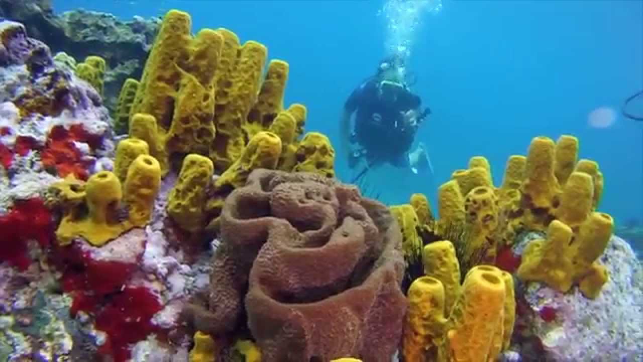 14 hlavních turistických atrakcí ostrova Svatá Lucie 2