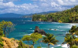 Trinidad a Tobago 37
