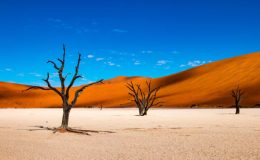 8 míst, kam se podívat v Namibii 4