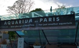 Kouzlo akvária Paris - Vstupenky 9