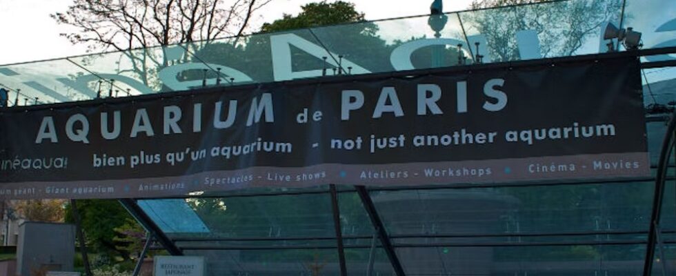 Kouzlo akvária Paris - Vstupenky 1