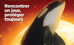 Zábavní park Marineland Cote d Azur nabízí celé rodině zábavu a vzrušení 10