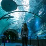 Zavítejte do národního mořského centra - Nausicaá 9
