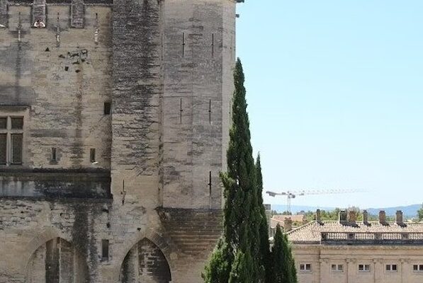 Zajímavosti a historie Palais des Papes 1