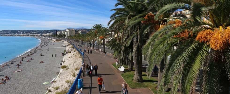 Promenáda Angličanů - Promenade des Anglais in Nice 1