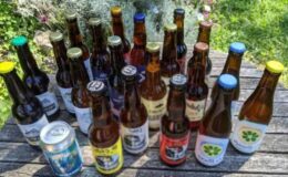 Konzumace alkoholu ve Francii 2