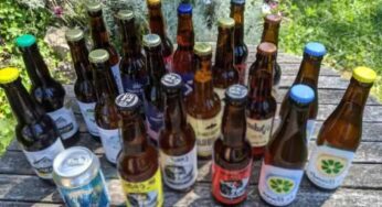 Konzumace alkoholu ve Francii