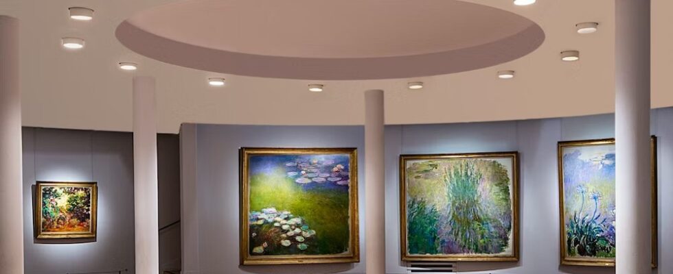 Vydejte se do Musée Marmottan Monet: Je tu pro vás vstupenka s přeskočením fronty 1
