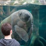 Hurá na návštěvu do Parc Zoologique de Paris 8