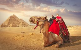 Nejvýznamnější archeologické lokality v Egyptě 9