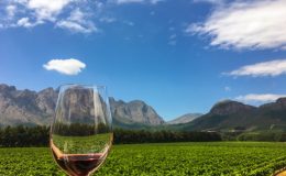 10 méně známých vinařských regionů světa 4