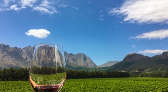 10 méně známých vinařských regionů světa 5