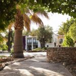Cas Gani, Santa Gertrudis, Ibiza, Španělsko 11