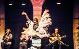 Vstupenky pouze na výstavu - Muzeum tance Flamenca 5