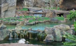 Bioparc Valencia: Vstupenka s rychlejším vstupem 2