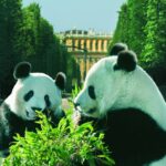 Hurá na výlet do vídeňské ZOO v Schönbrunnu 12