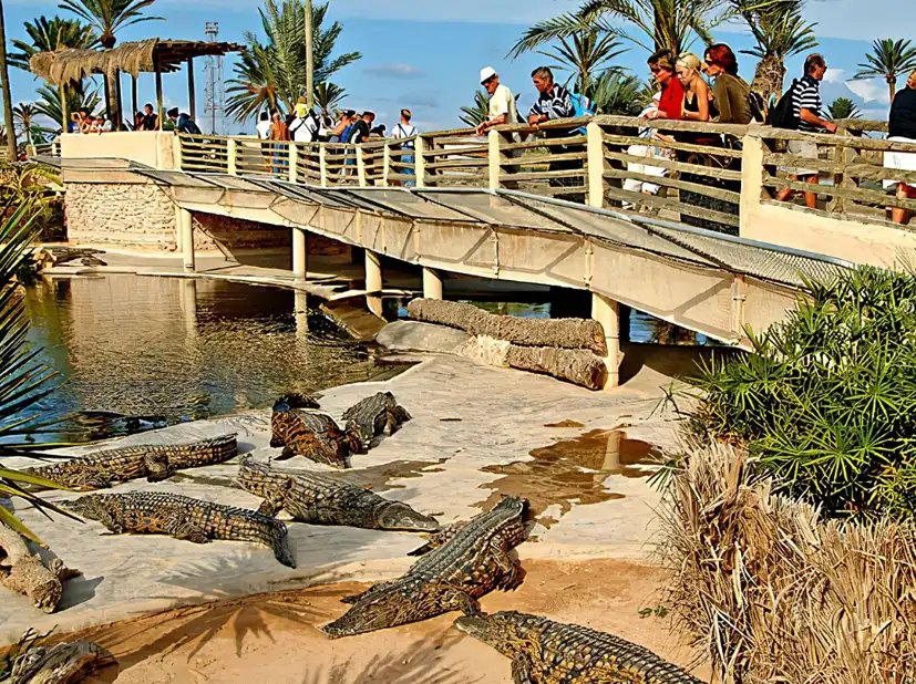 14 turistických atrakcí tuniského ostrova Džerba 1