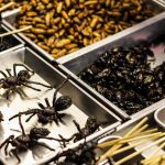15 bizarních a nechutných jídel z celého světa 7