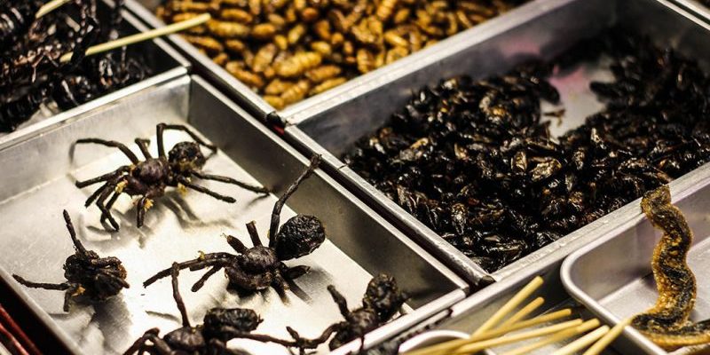 15 bizarních a nechutných jídel z celého světa 1