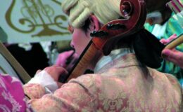 Vstupenky na Musikverein Vienna: Mozartův orchestr 5