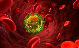 Třetí HIV pozitivní osoba byla prohlášena za uzdravenou 8