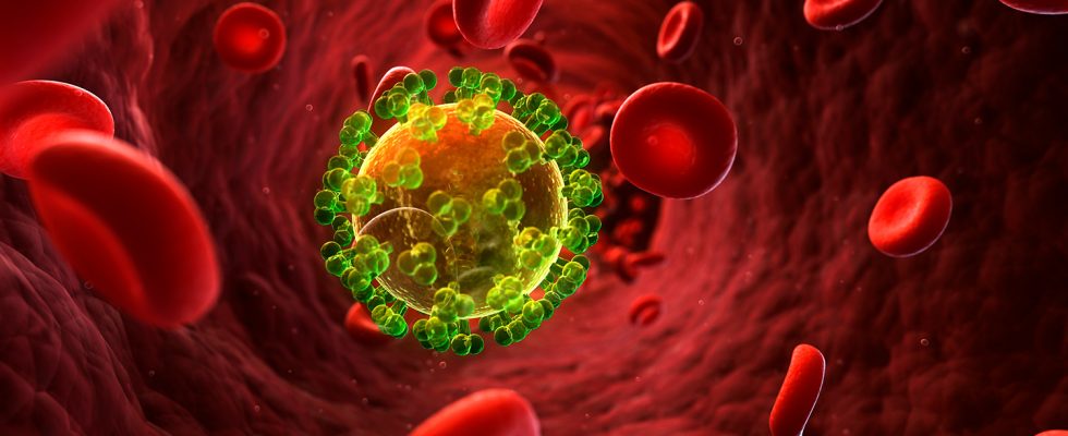 Třetí HIV pozitivní osoba byla prohlášena za uzdravenou 1