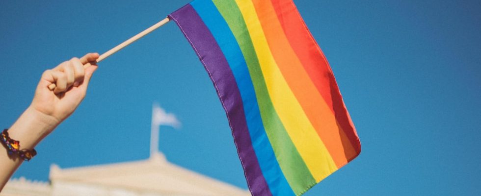 Studie naznačuje, že děti LGBT rodičů nejsou vývojově znevýhodněny 1