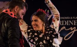 Flamenco show s pitím a volitelnou večeří v Jeskyni Sacromonte Los Tarantos 4