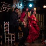 Paláce Alhambra, Nasrid + Flamenco show v Jardines de Zoraya 10
