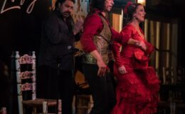 Paláce Alhambra, Nasrid + Flamenco show v Jardines de Zoraya 5