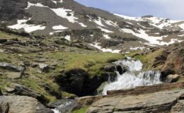Národní park Sierra Nevada: prohlídka s průvodcem 6
