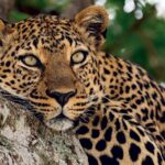 Jedinečné destinace: Zoo Akvárium, Park Warner 11