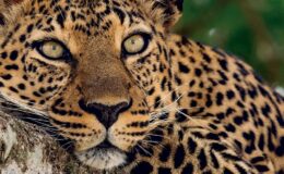 Jedinečné destinace: Zoo Akvárium, Park Warner 5