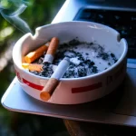 Cesta ke chronické bronchitidě 12
