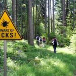 Účinky změny klimatu na nemoci šířené přenašeči: případ lymské borreliózy 7