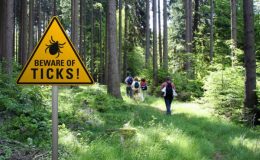 Účinky změny klimatu na nemoci šířené přenašeči: případ lymské borreliózy 7