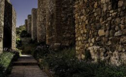 Římské divadlo Málaga a Alcazaba: prohlídka s průvodcem 1