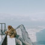 Jaké jsou zajímavosti Gibraltaru? 11