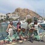 Alicante: Celodenní pronájem městského kola 12