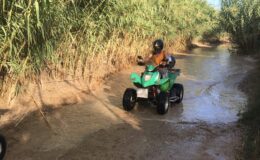 Benidorm: Čtyřkolky v džungli 6