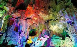 Z Alicante: Cueva Canelobre - cesta zpět v čase 8