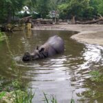 Zoologická zahrada Schönbrunn - vstupenky bez fronty 2