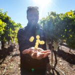 Vinice Alicante: degustace vína 8