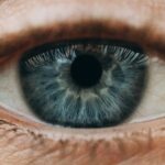 Jak se naučit pozorně vnímat okolní svět? 10